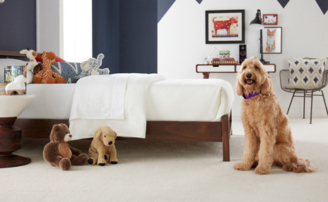 Prevent Carpet Fading