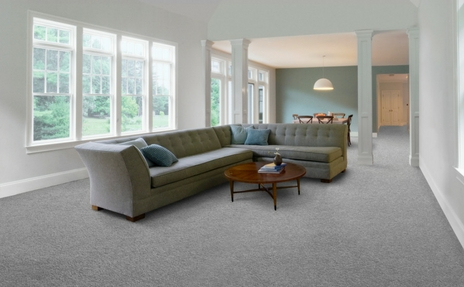 Grey carpet in open living room with grey sofa